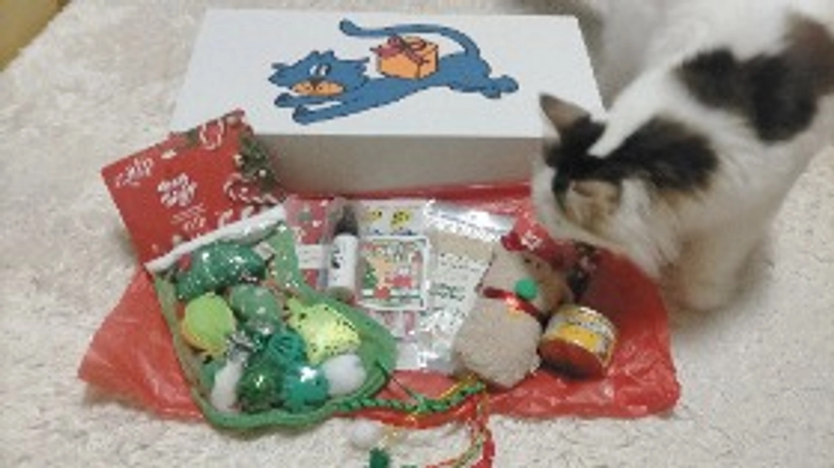 経過観察⑤・⑥10.13～11.10→11.11~12.8間