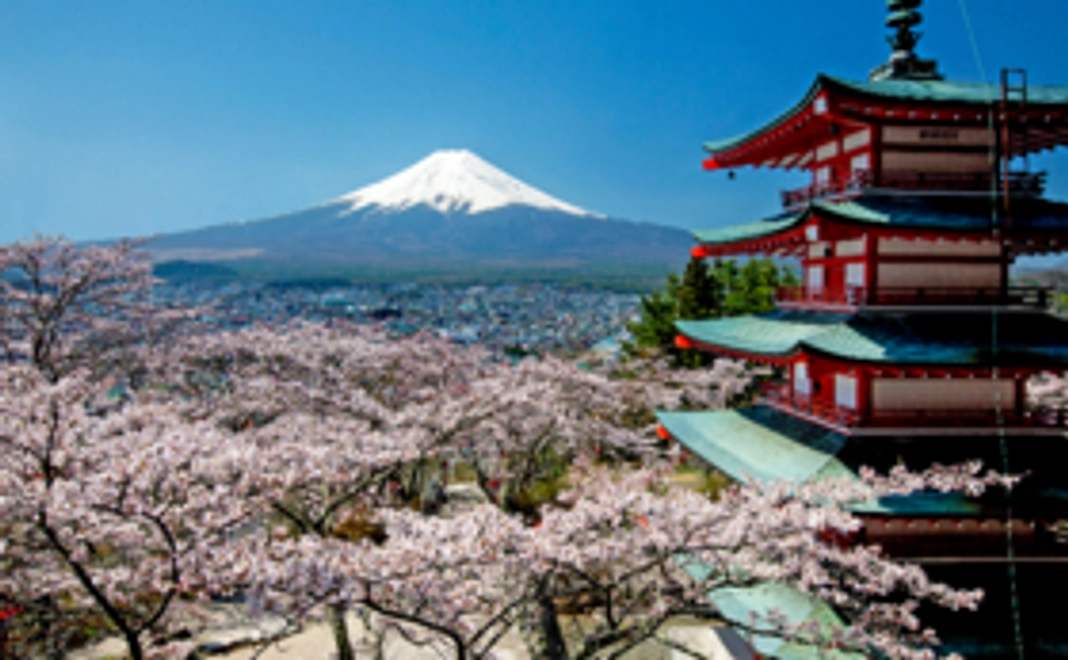 お礼状と高校生が制作した生産者を伝えるカード