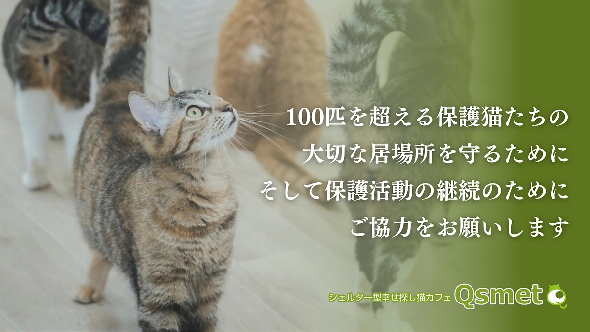 いよいよクラウドファンディング開始です。どうか、私に活動継続のチャンスをください