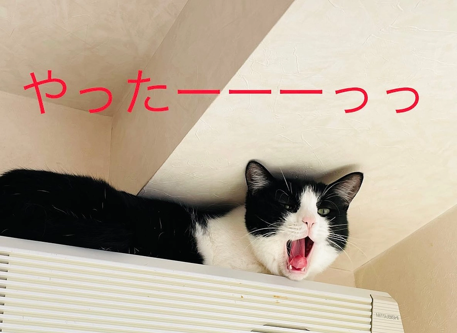 【祝！】第一目標達成しました！ネクストゴールに挑戦します！！