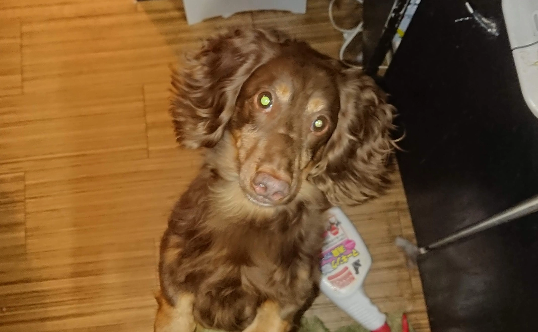 感謝のメール及び近況報告5