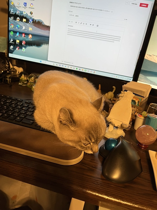 6月6日　病院に行ってきました。