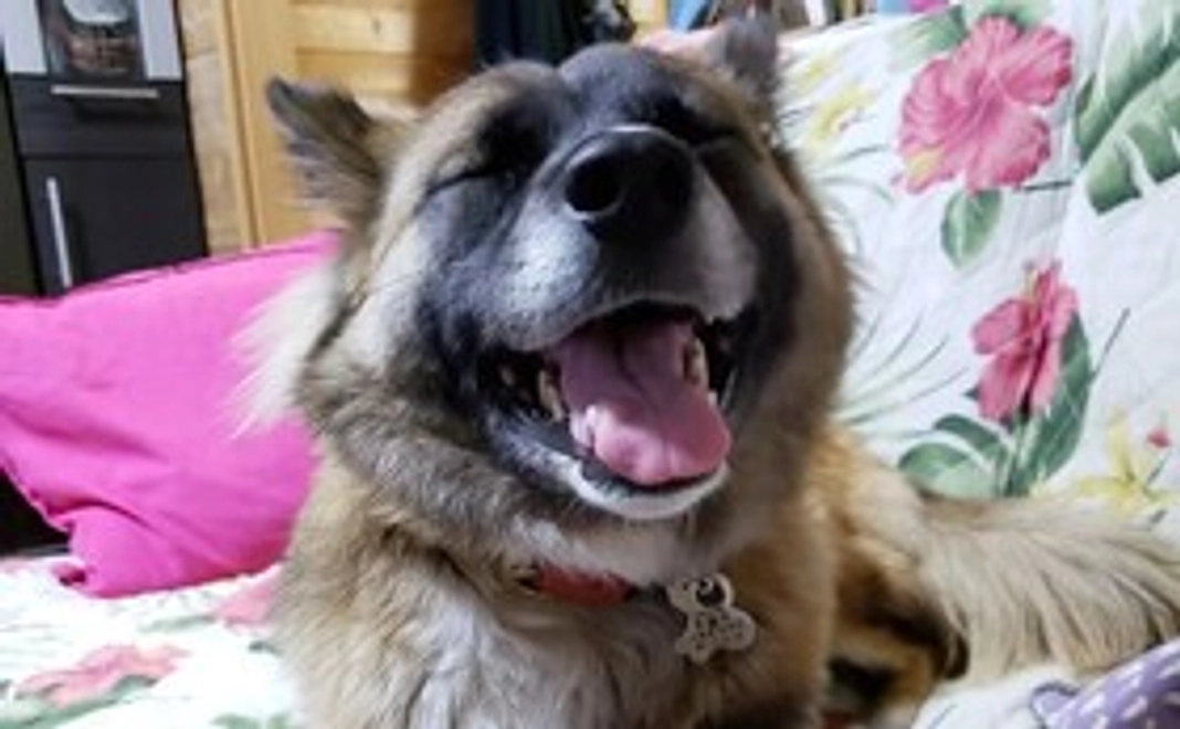 B パウズより感謝のメッセージ