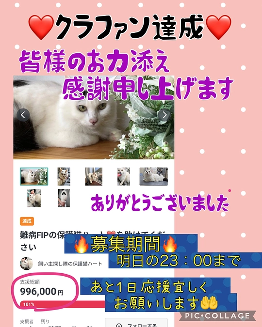 クラウドファンディング達成しました