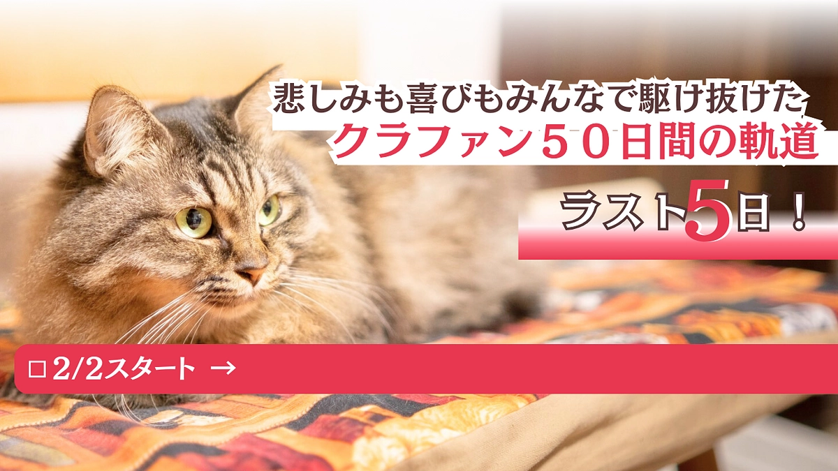 【残り5日】喜びも悲しみもみんなで駆け抜けた50日間の軌跡