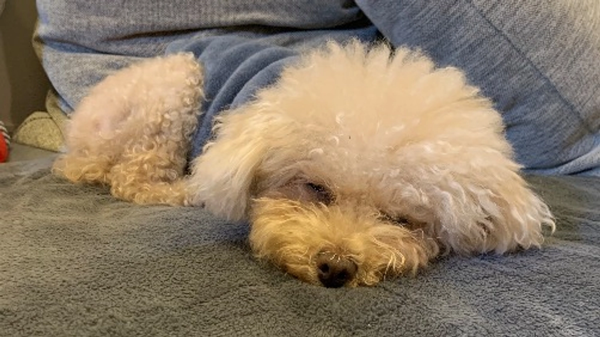 残り50時間！！