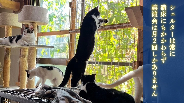 生まれた命を輝かせたい。愛してくれる家族へ繋ぐ拠点の開設を目指して 5枚目