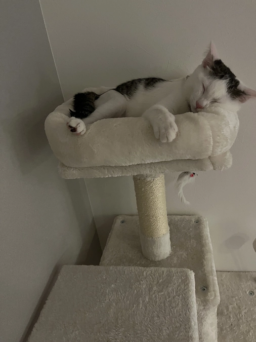 残り6日となりました