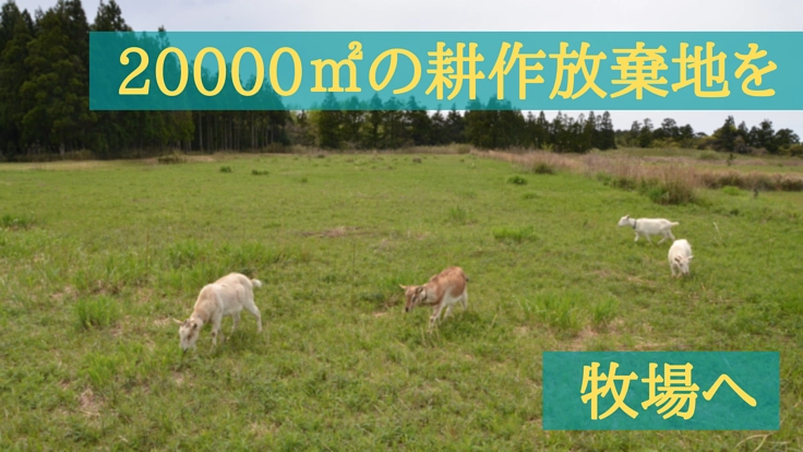 村人の命を守り、限界集落の未来を救うため、牧場を作りたい