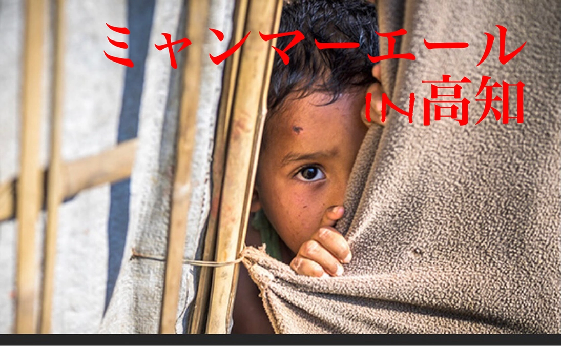 ミャンマー写真展in高知口コミ感想