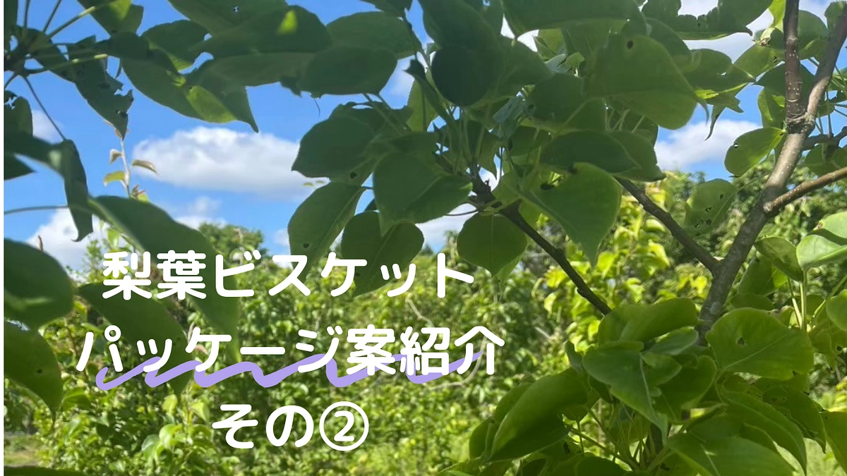 梨葉ビスケットのパッケージ案を考えました！その②