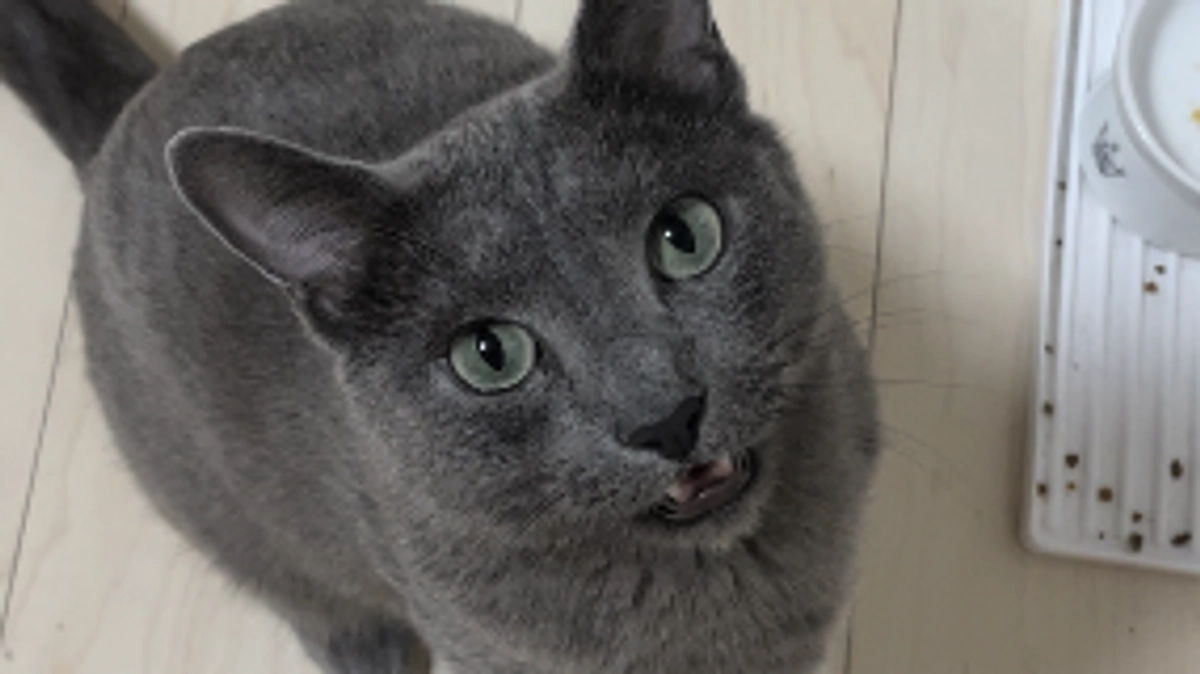 目標金額を達成する事が出来ました✨