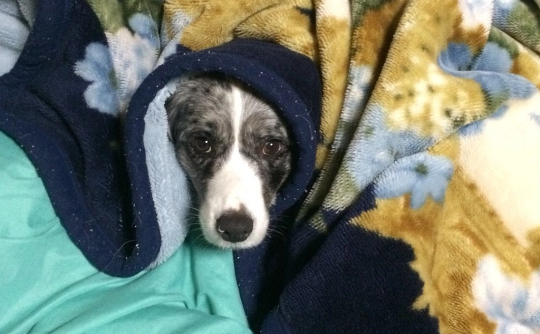 感謝のご連絡 1,000円