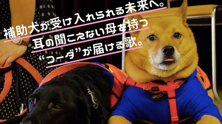 「ほじょ犬って知ってる?」 歌と手話で多くの人に伝えたい。