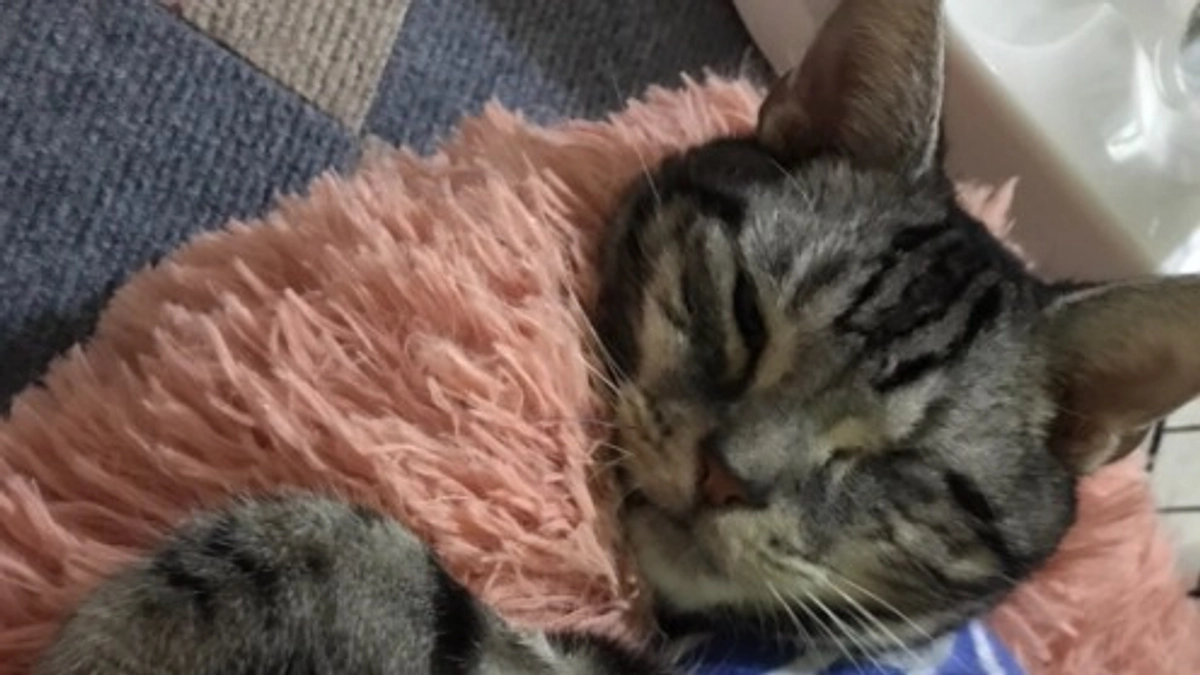 今日も今日とて