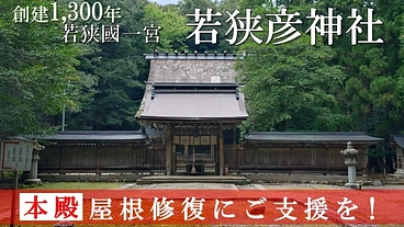 創建1,300年：若狭國一宮「若狭彦神社」屋根修復にご支援を！ のトップ画像