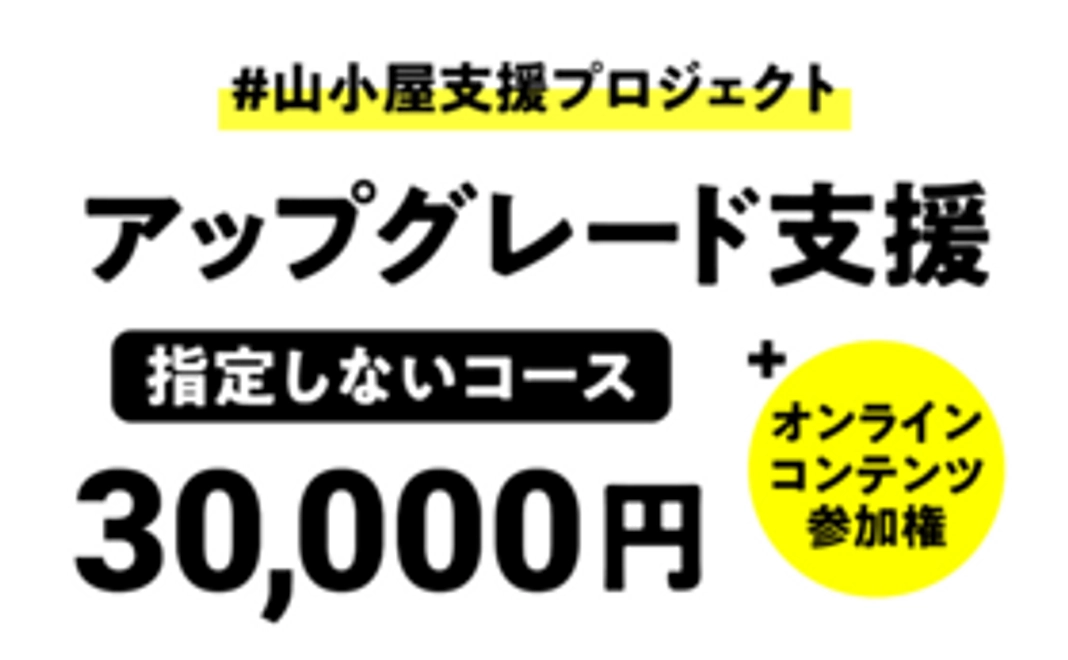 アップグレード支援（指定なし）：30,000円