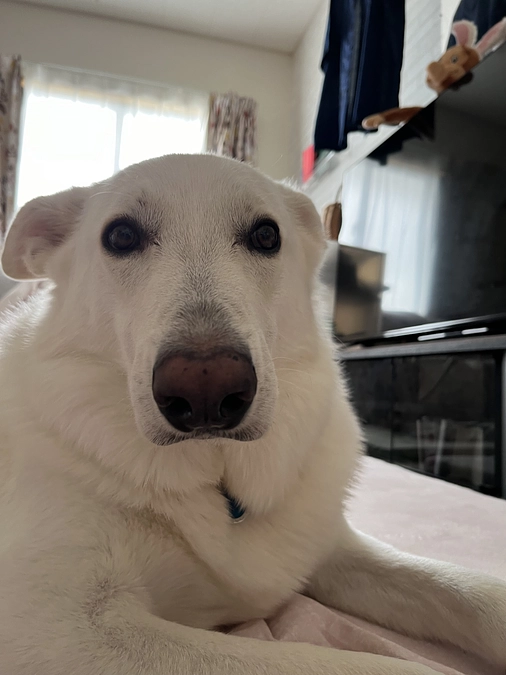 ご支援、拡散有難うございます！！