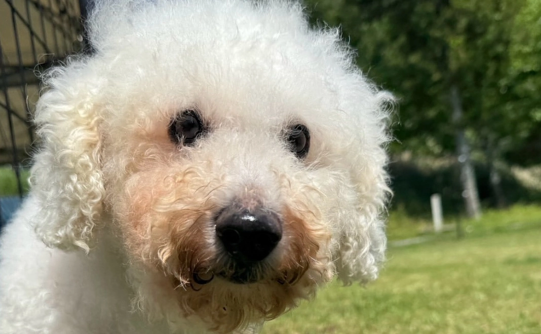 全力応援コース⭐︎10万円