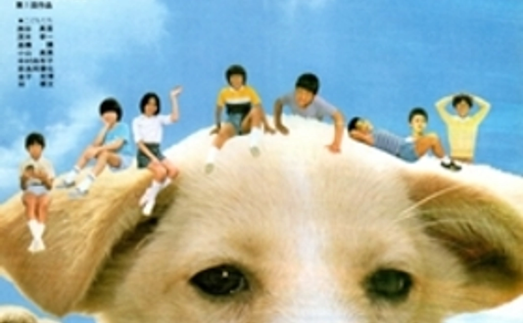 「ひまわり 沖縄は忘れないあの日の空を」「校庭に東風吹いて」「三本足のアロー」B3ポスター3枚セット