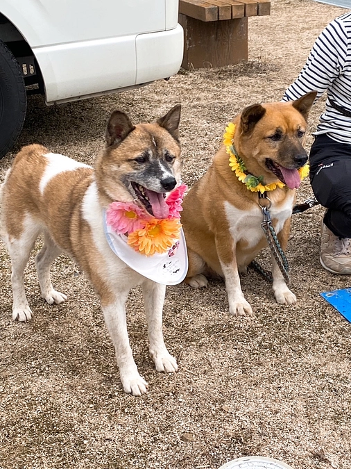 27日のイベントのご報告～私たちの活動から