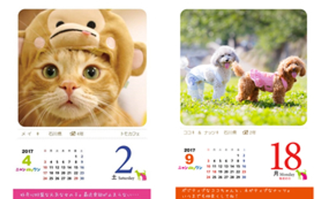 ◆卓上型日めくりカレンダー