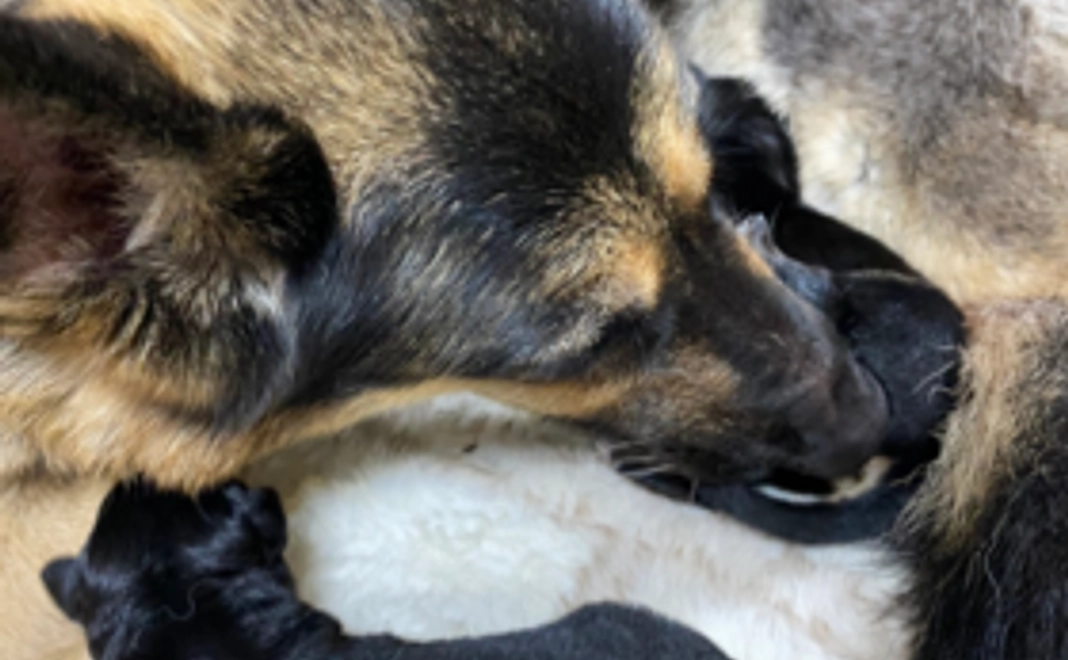 3,000円出産応援コース～かわいい親子画像でほっこり～