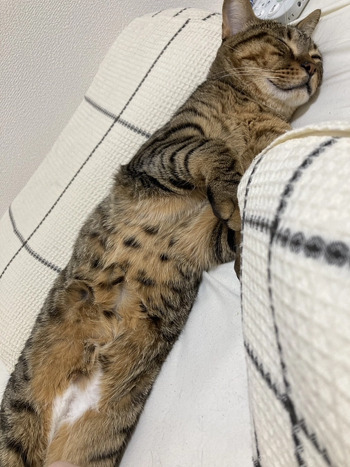 タイムリミット6時間　　残り8%！💦💦　