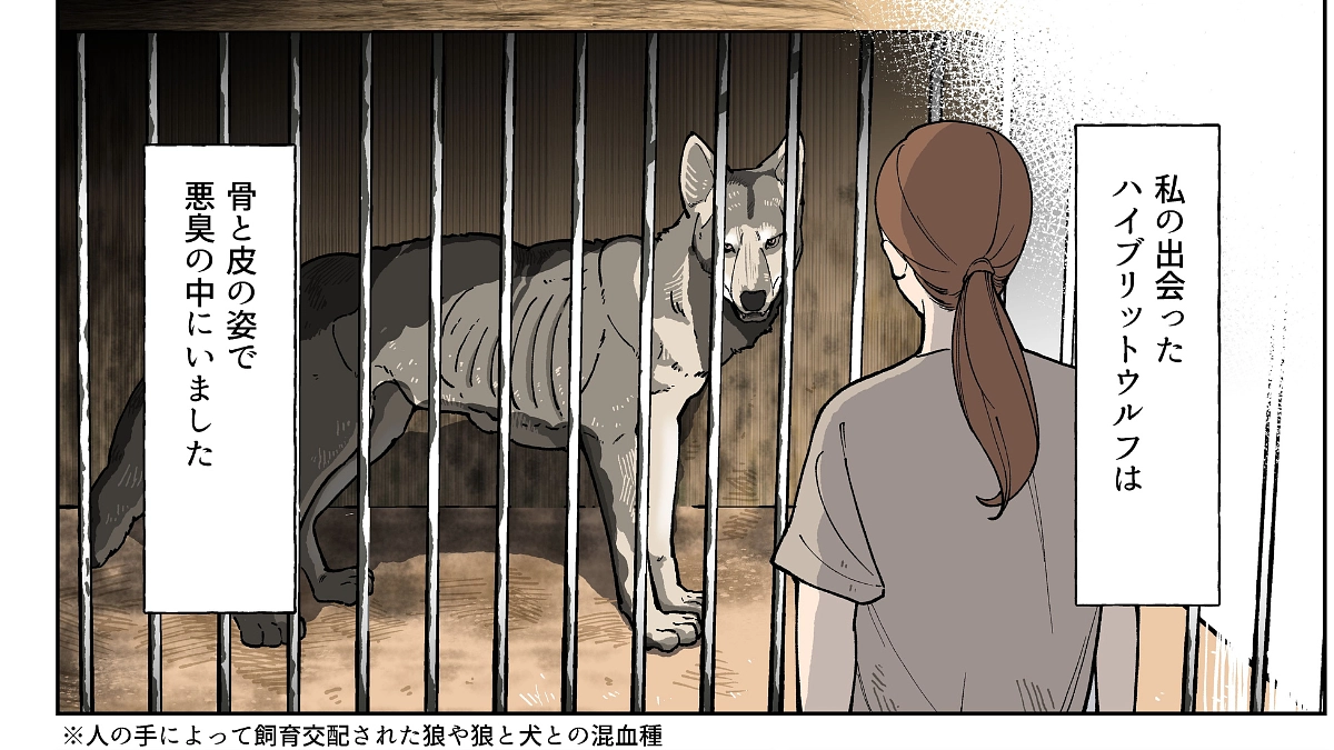 【第一目標まであと53万円】漫画家である寝太郎さんが漫画を書いてくださりました