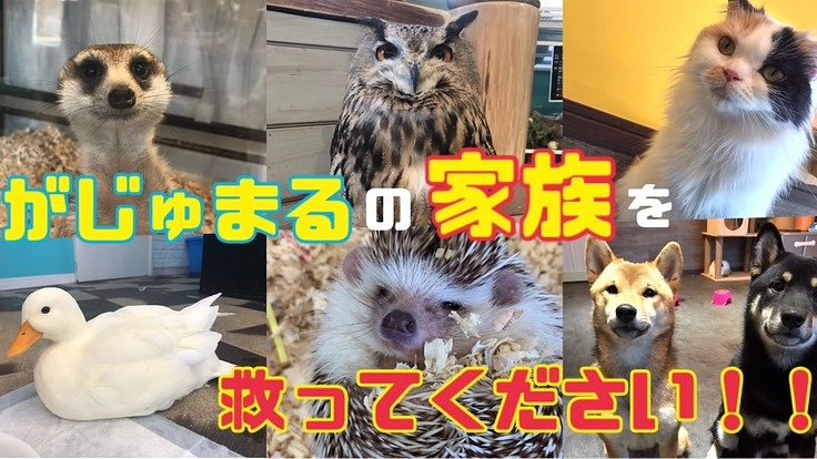 28種類61匹のいきものたちの大好きな居場所を守りたい！！