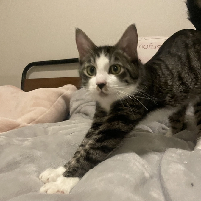 足のキズも良くなってきました。