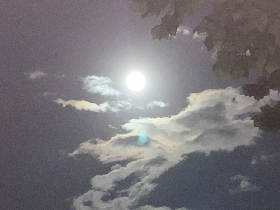 雲を依代に、龍神さまの精霊が！