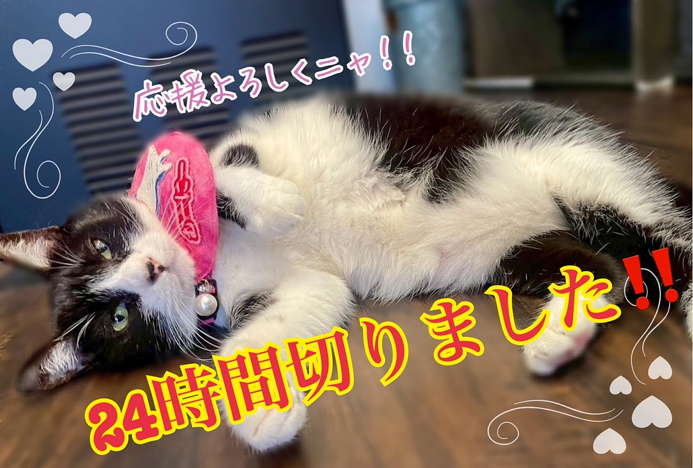 のこり24時間切りました❗️