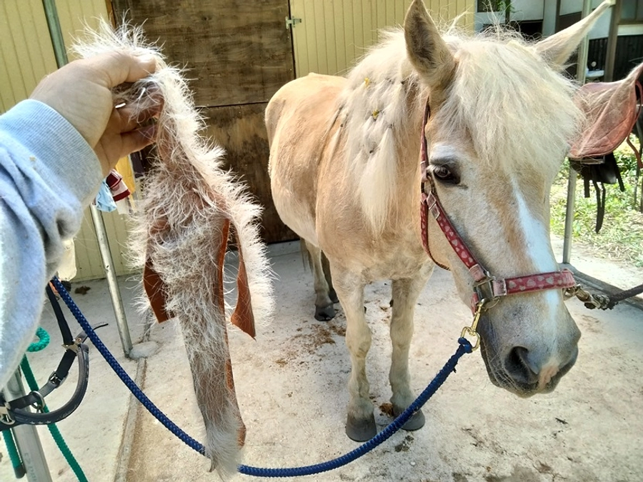 もろもろ後日談＆YouTubeチャンネルのお知らせ