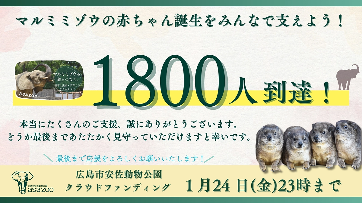 【支援者様人数1800人！】沢山の応援コメントありがとうございます！最後まで応援よろしくお願いします