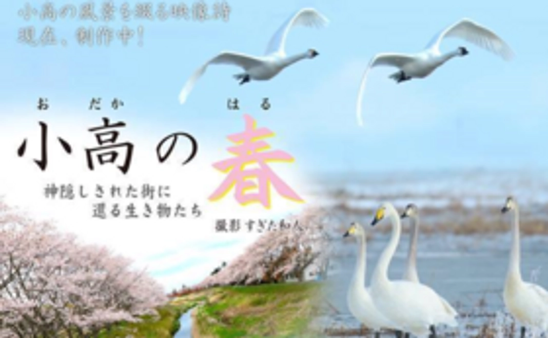 小高2018カレンダーとポストカードのセット