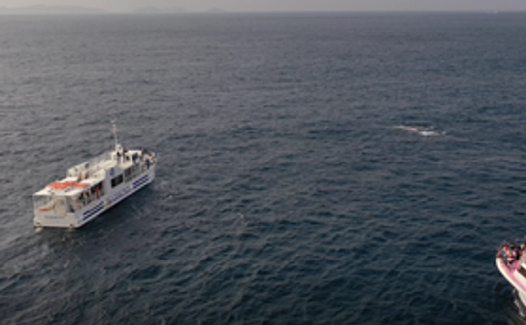 沖縄の海で鯨の親子を空撮するぞ。