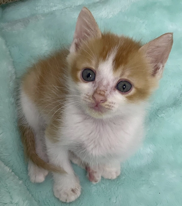 折り返し地点の想い