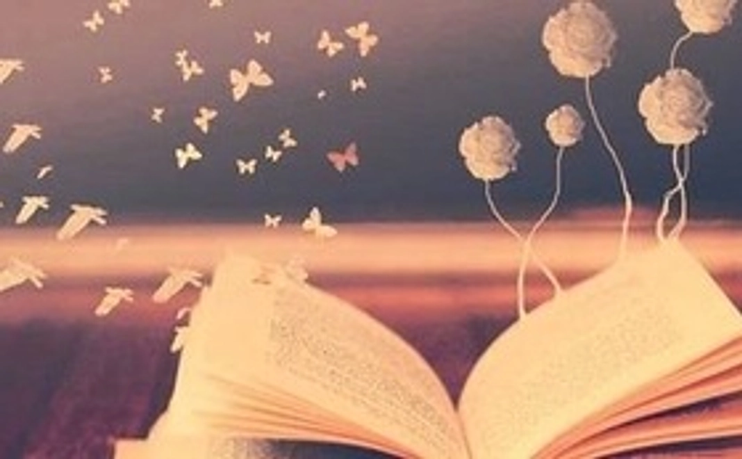 本1冊をお届けします