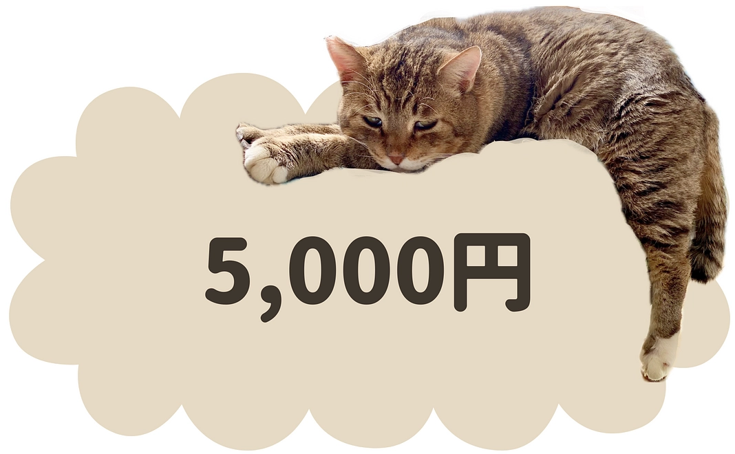 5000円コース