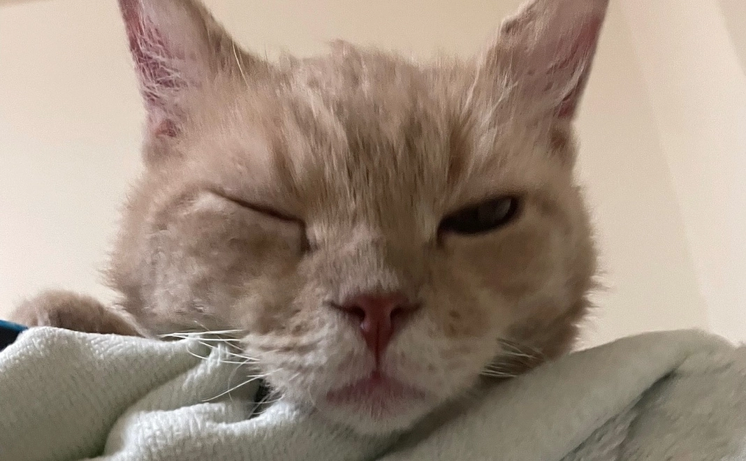 感謝のメール【8】