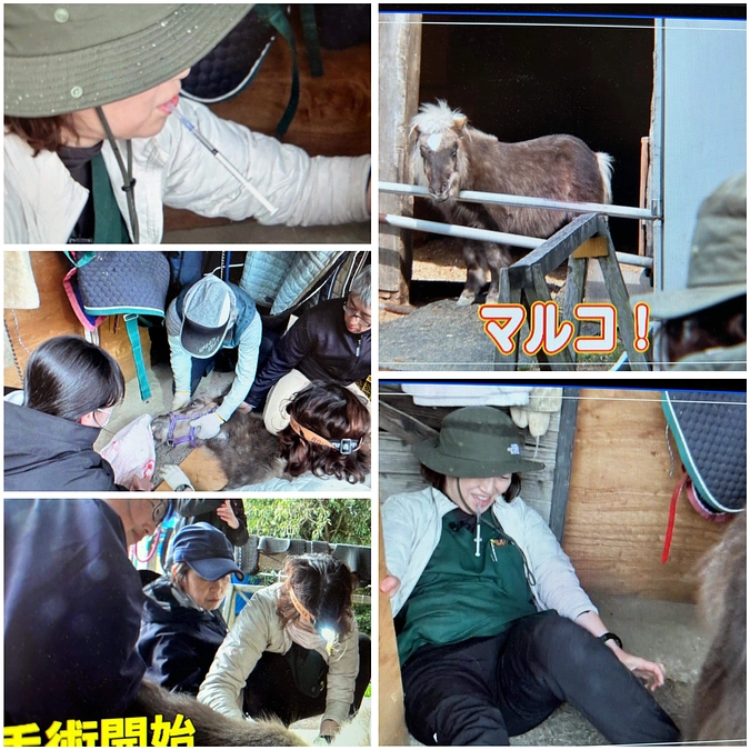 アサデス。でも応援してくれました！