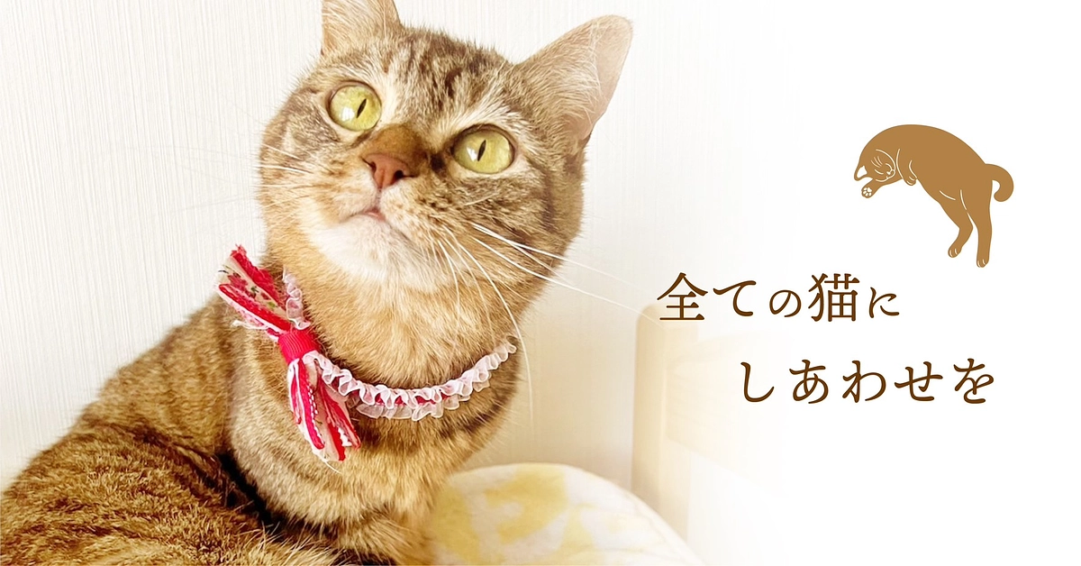 クラウドファンディング挑戦中