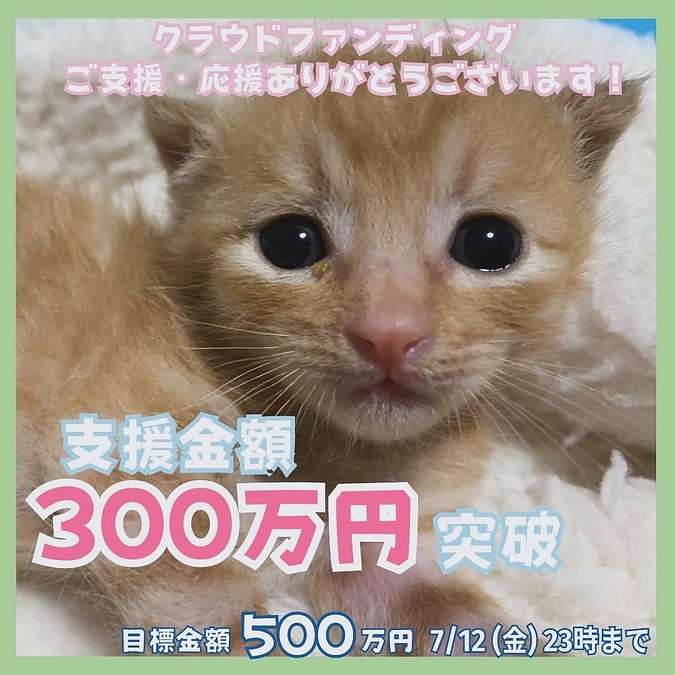 ひとつひとつ目標に到達する度ドキドキです💓