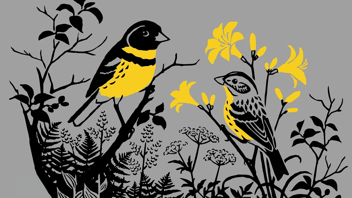 ちゃんと長く使える良いものをリターンに　モンベル × いきものパレット