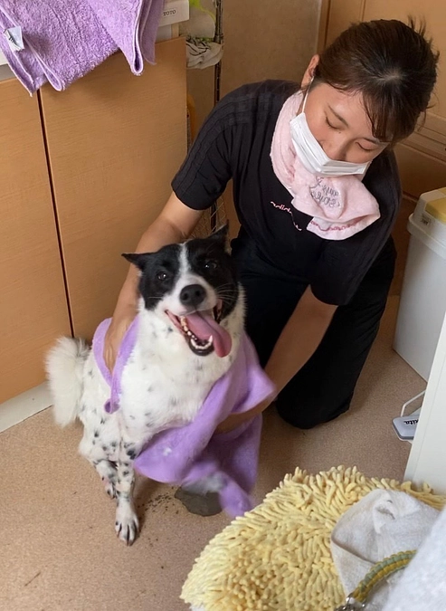 ボランティアの胸のうち　お掃除をしながら犬達と仲良くなる