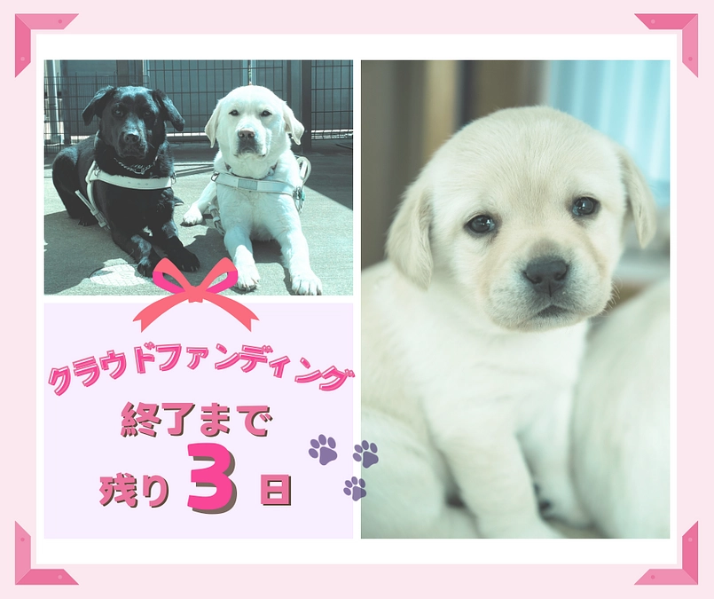 終了まで残り3日