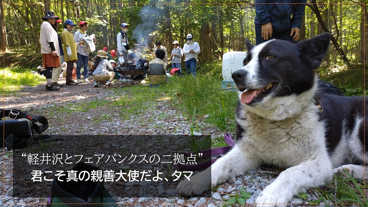 “軽井沢とフェアバンクスの二拠点”　君こそ真の親善大使だよ、タマ