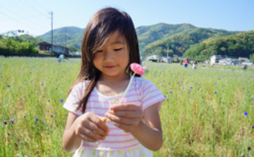 【全力応援コース】田んぼをつかった花畑の開催継続を願って。