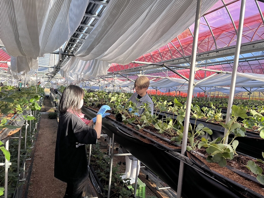 【活動報告⑰】製造チームが手伝いに来てくれました